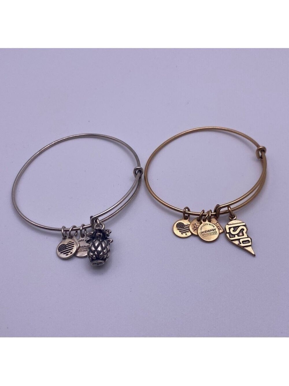 Alex & Ani Charm Bangle Bracelet Set
